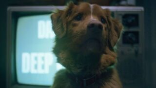 Buon ragazzo spiegazione film: destino di todd e l’entità misteriosa