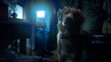 Indy sopravvive alla sorprendente conclusione del film secondo il regista di good boy
