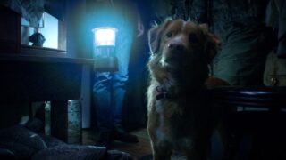 Indy sopravvive alla sorprendente conclusione del film secondo il regista di good boy