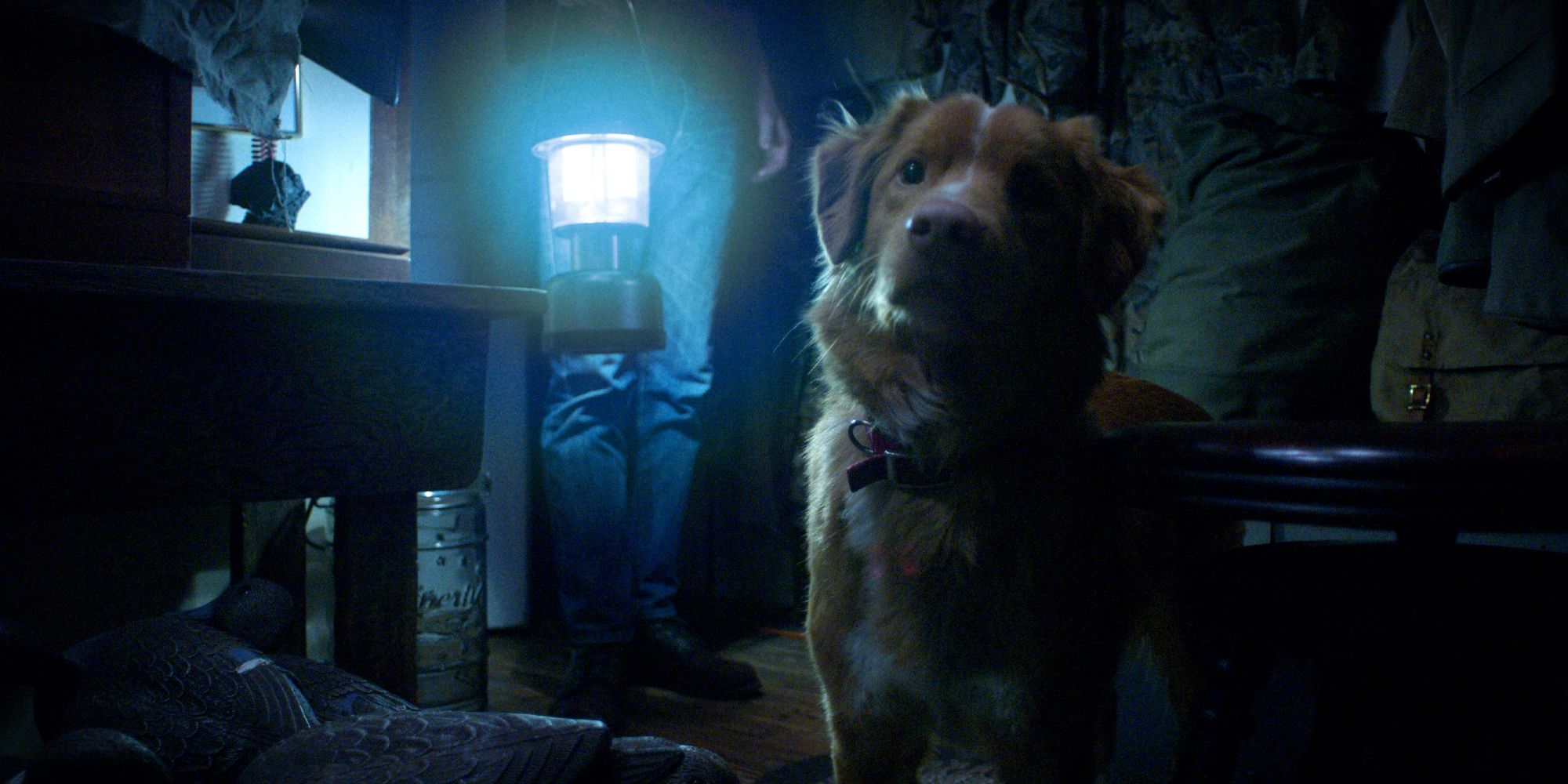 Indy sopravvive alla sorprendente conclusione del film secondo il regista di good boy