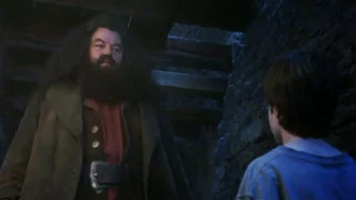 Set della catapecchia sullo scoglio in Harry Potter