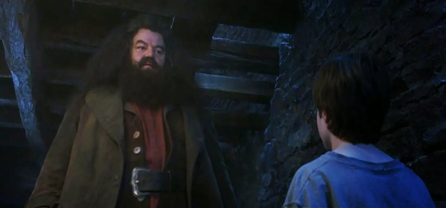 set della catapecchia sullo scoglio in harry potter
