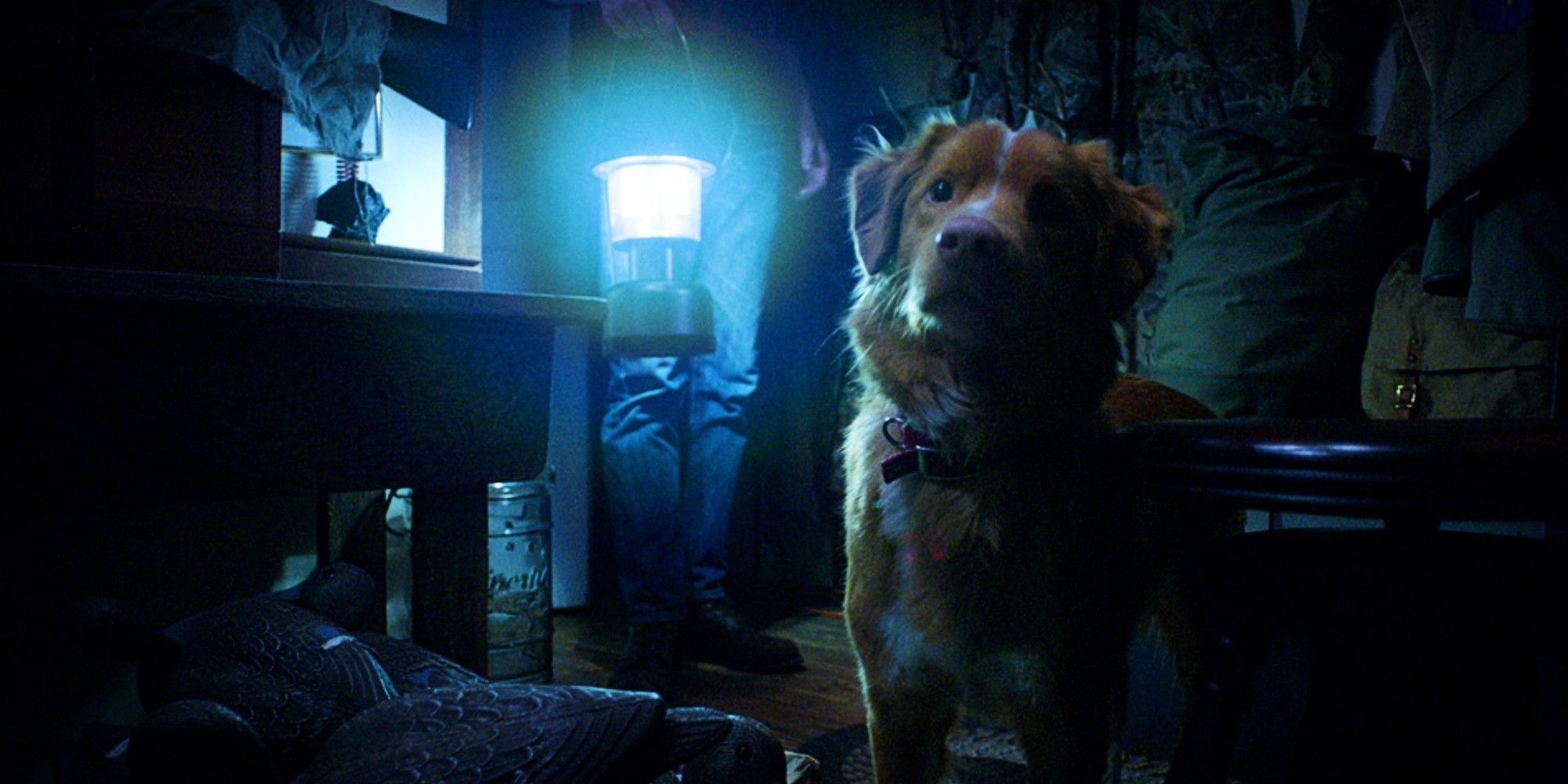 Film horror alla casa infestata con un cane come protagonista