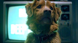 Intervista a ben leonberg e kari fischer sui buoni ragazzi