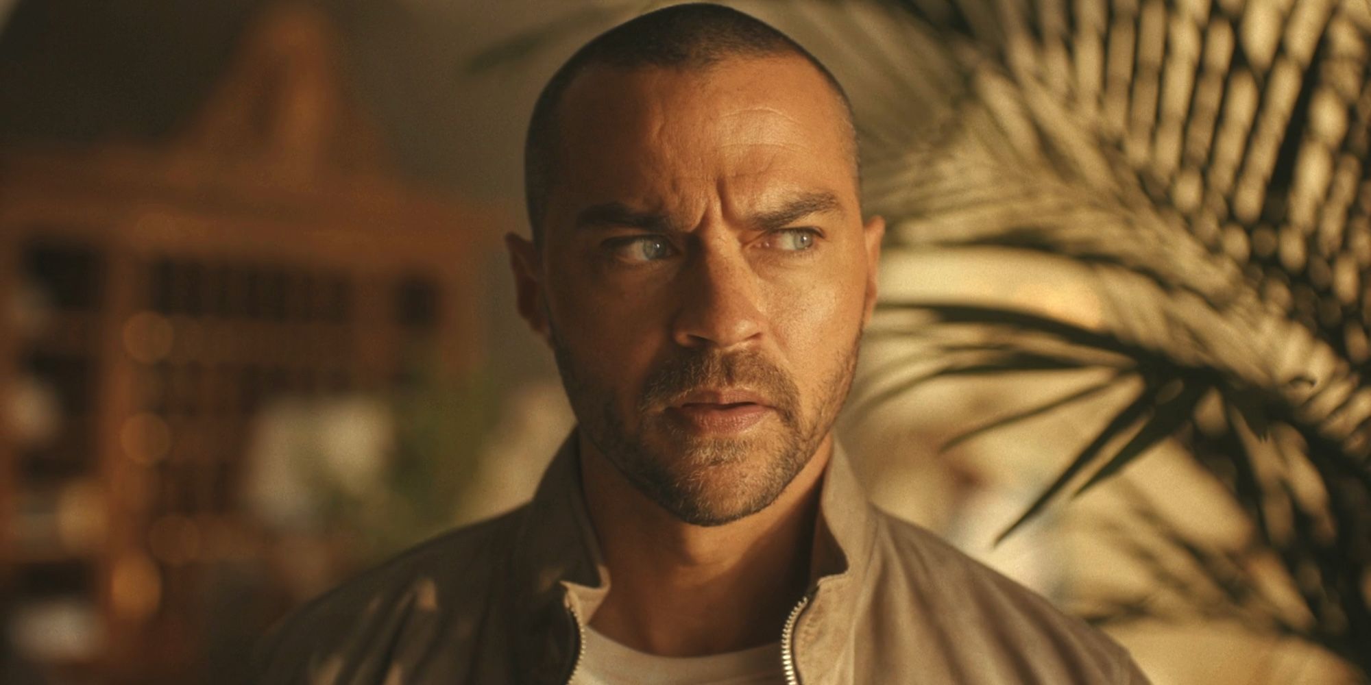 Hotel costiera eccelle nella performance globale dello streaming