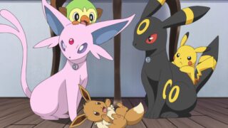 Merchandise di espeon e umbreon: affrettati prima che finisca