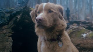 Protagonisti di film horror non convenzionali nel cinema moderno