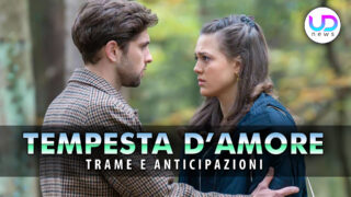 Tempesta d’amore anticipazioni tedesche: il dramma di henry svela nuovi colpi di scena