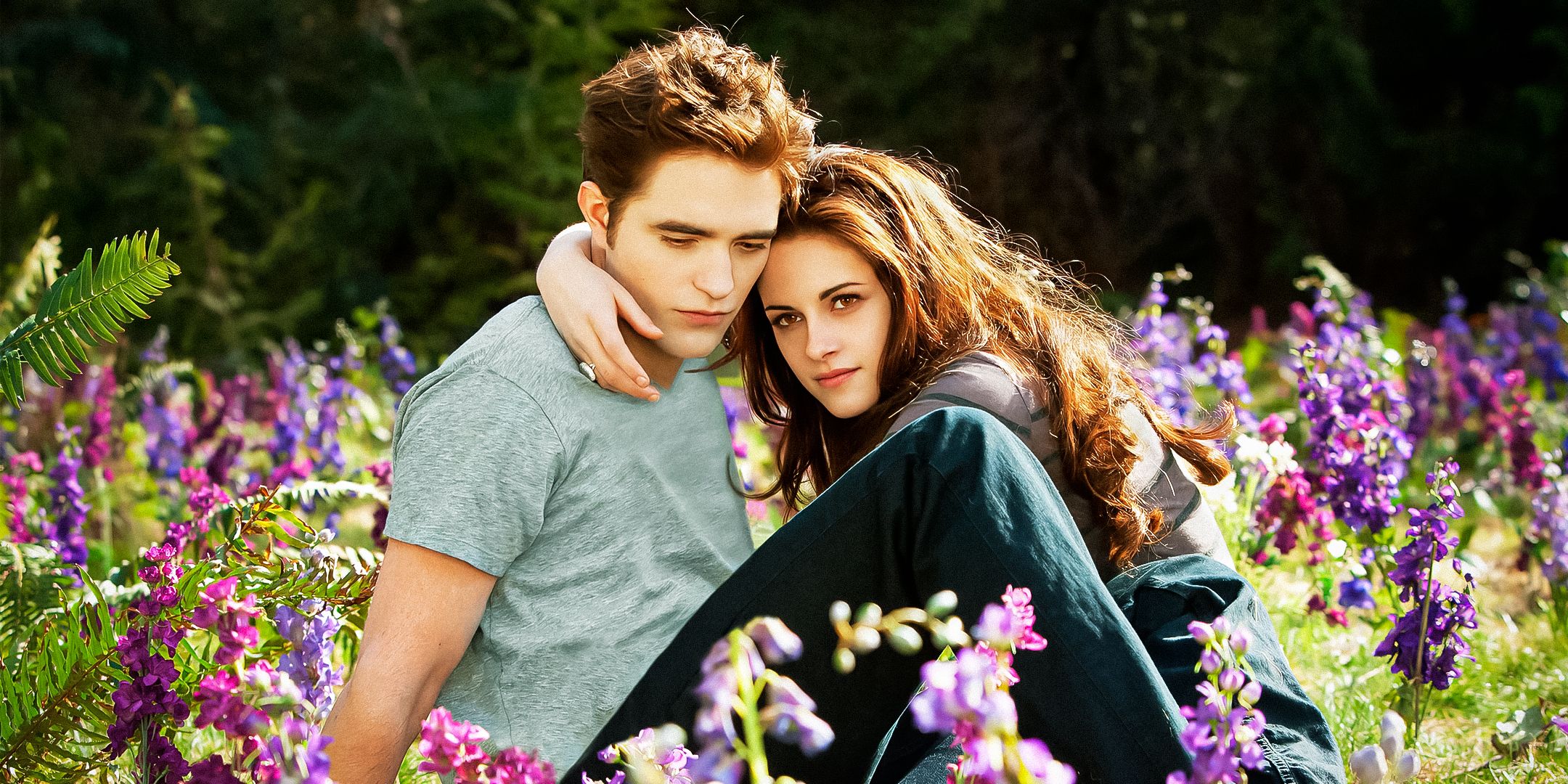 Twilight e il suo valore: la difesa del regista bill condon contro le critiche