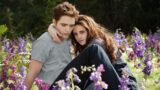 Franchises popolari con film giudicati rotten su rotten tomatoes