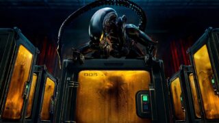 Xenomorfi alieni: perché hanno colori unici sulla Terra