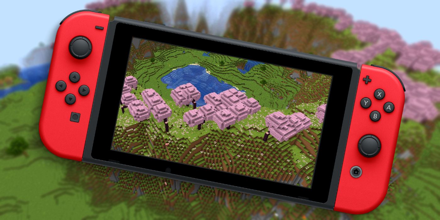 Migliori semi Nintendo Switch per Minecraft per una nuova avventura Migliori semi Nintendo Switch per Minecraft per una nuova avventura