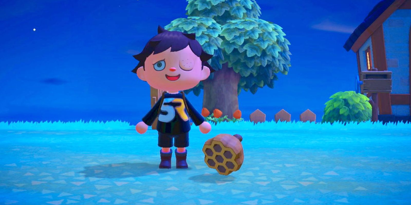 10 villager Animal Crossing poco conosciuti da scoprire assolutamente