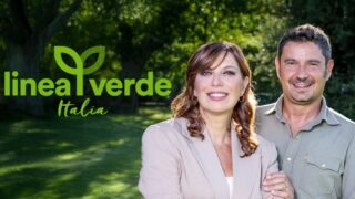 Le linee di sabato 8 novembre con tinto caradonna e quaranta in tour