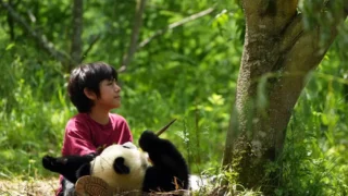 Moon il panda trama cast e finale del film in onda su sky cinema family