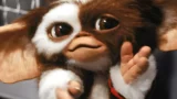 Gremlins 3 il ritorno delle creature pelose al cinema