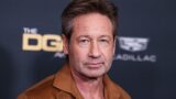 David duchovny rivela il suo  thriller streaming che delude le aspettative con recensioni negative
