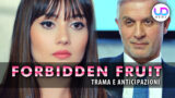 Forbidden Fruit anticipazioni turche: zeynep scopre di essere figlia di halit