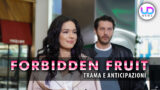 Fruit proibito anticipazioni turche caner celebi nei guai