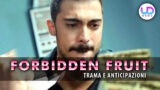 Anticipazioni forbidden fruit turche la vendetta di yiﾄ殃t