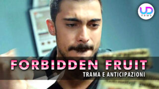 Anticipazioni forbidden fruit turche la vendetta di yiﾄ殃t