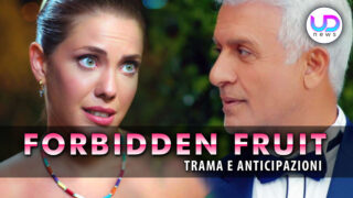 Forbidden Fruit anticipazioni turche Yildiz torna da Halit
