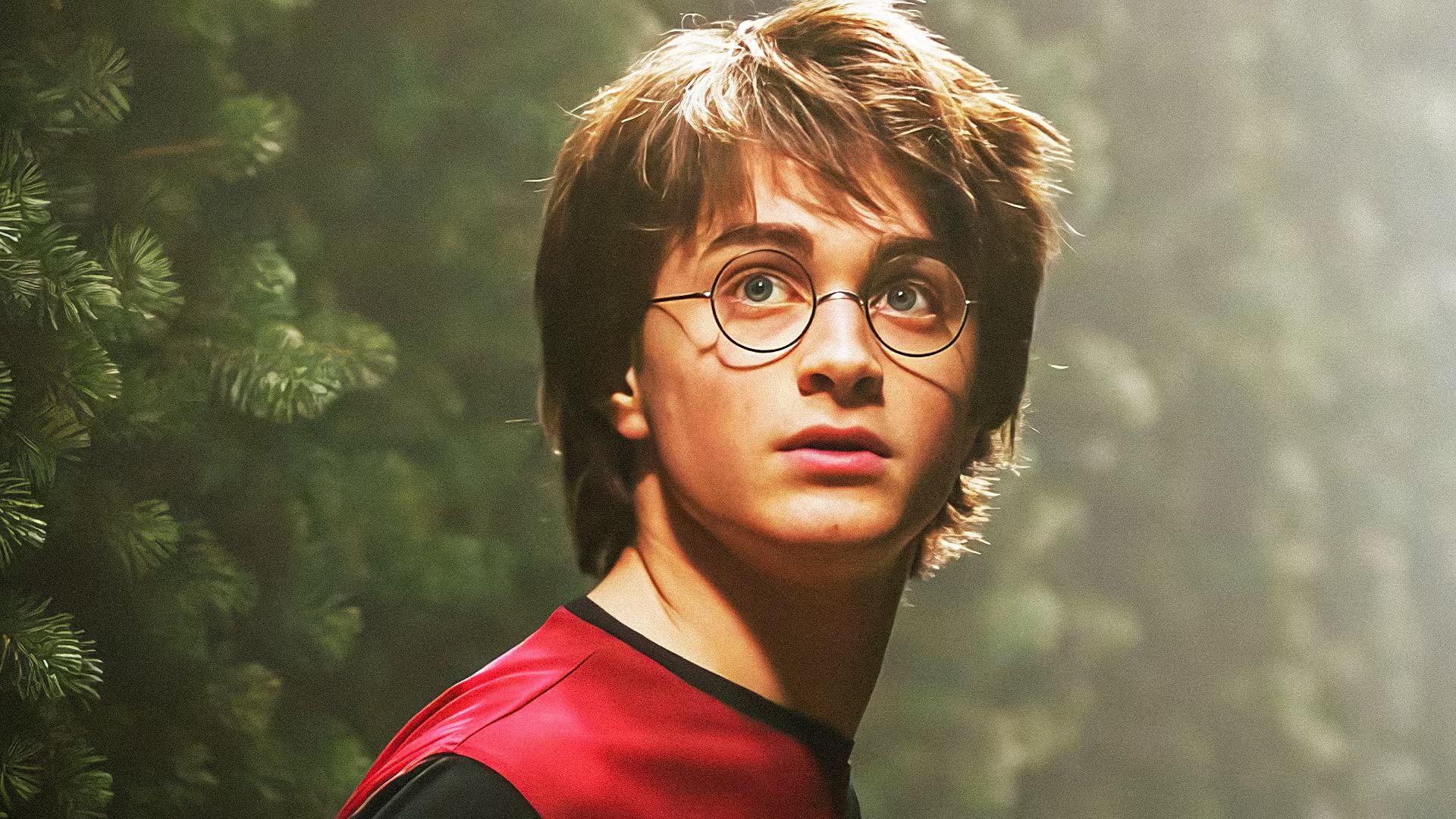 Consigli di Daniel Radcliffe per il cast di Harry Potter Tv show Consigli di Daniel Radcliffe per il cast di Harry Potter Tv show