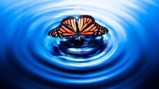 I thriller più attesi in TV basati su libri da non perdere