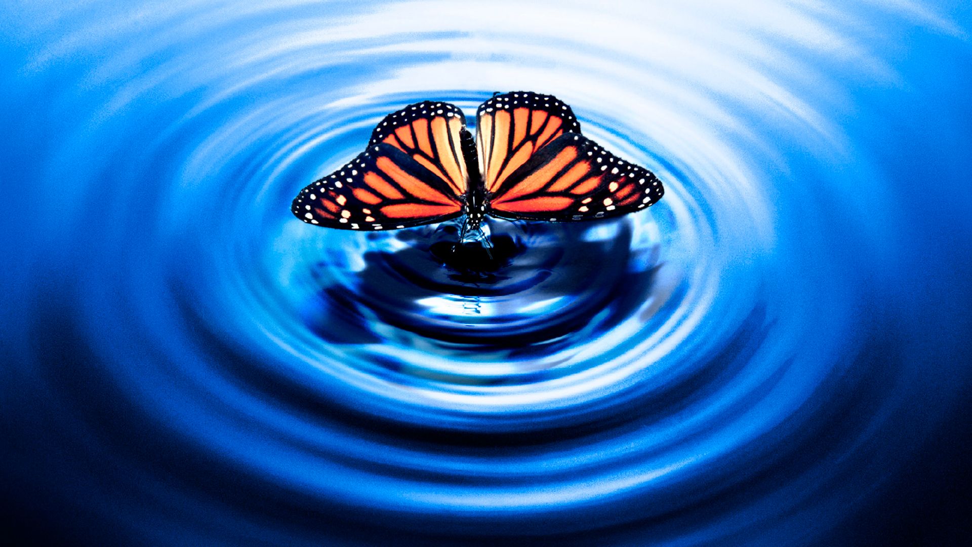 I thriller più attesi in TV basati su libri da non perdere I thriller più attesi in TV basati su libri da non perdere