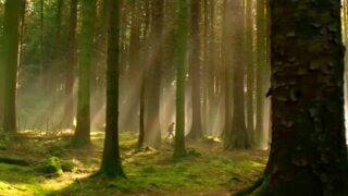 La migliore franchise fantasy senza film brutti