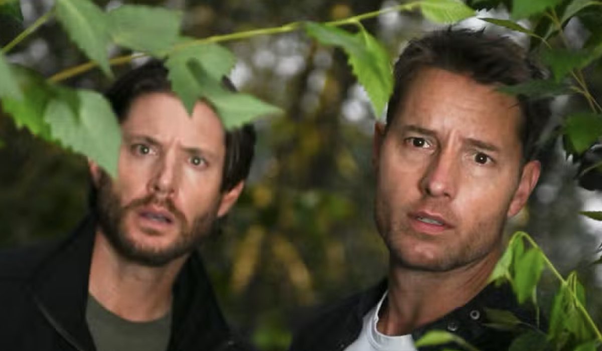 english teacher 2 disponibile su disney dal 19 novembre