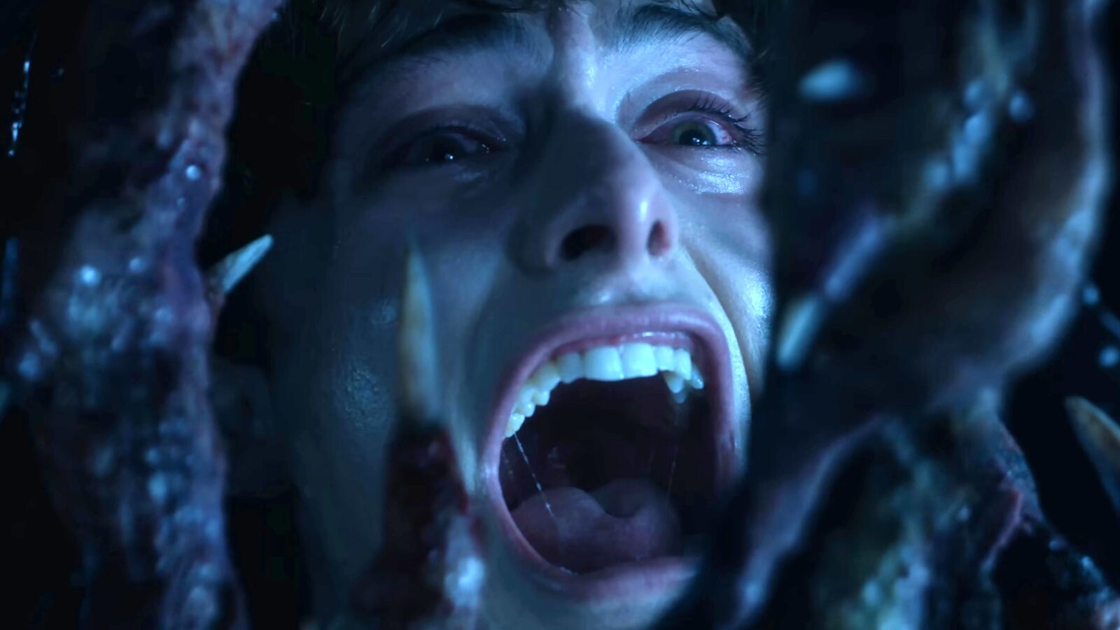 Saison 5 di stranger things: poteri di will e il finale col cliffhanger di vecna