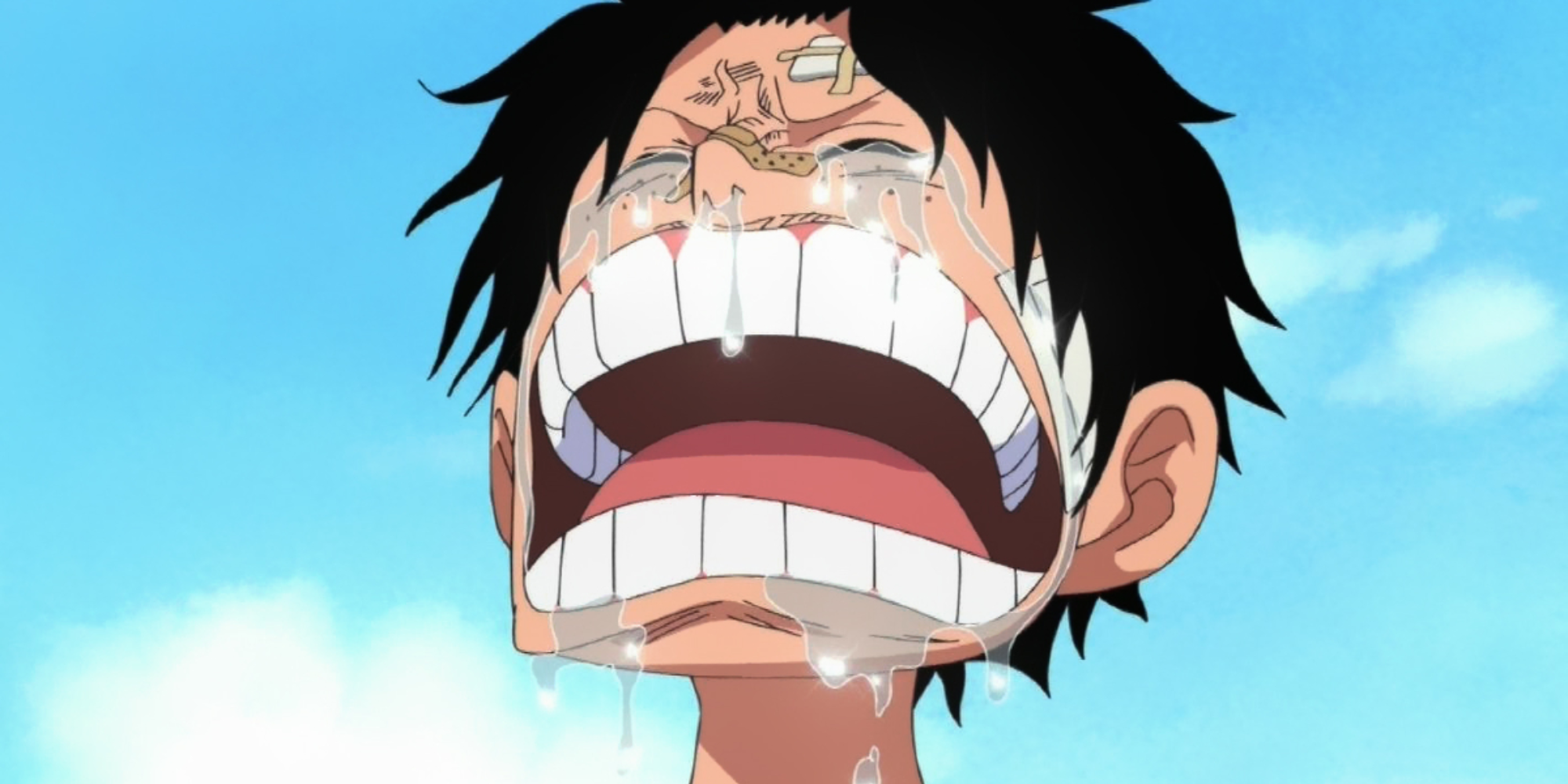 one piece anime conferma ritardo della stagione di novembre 2025