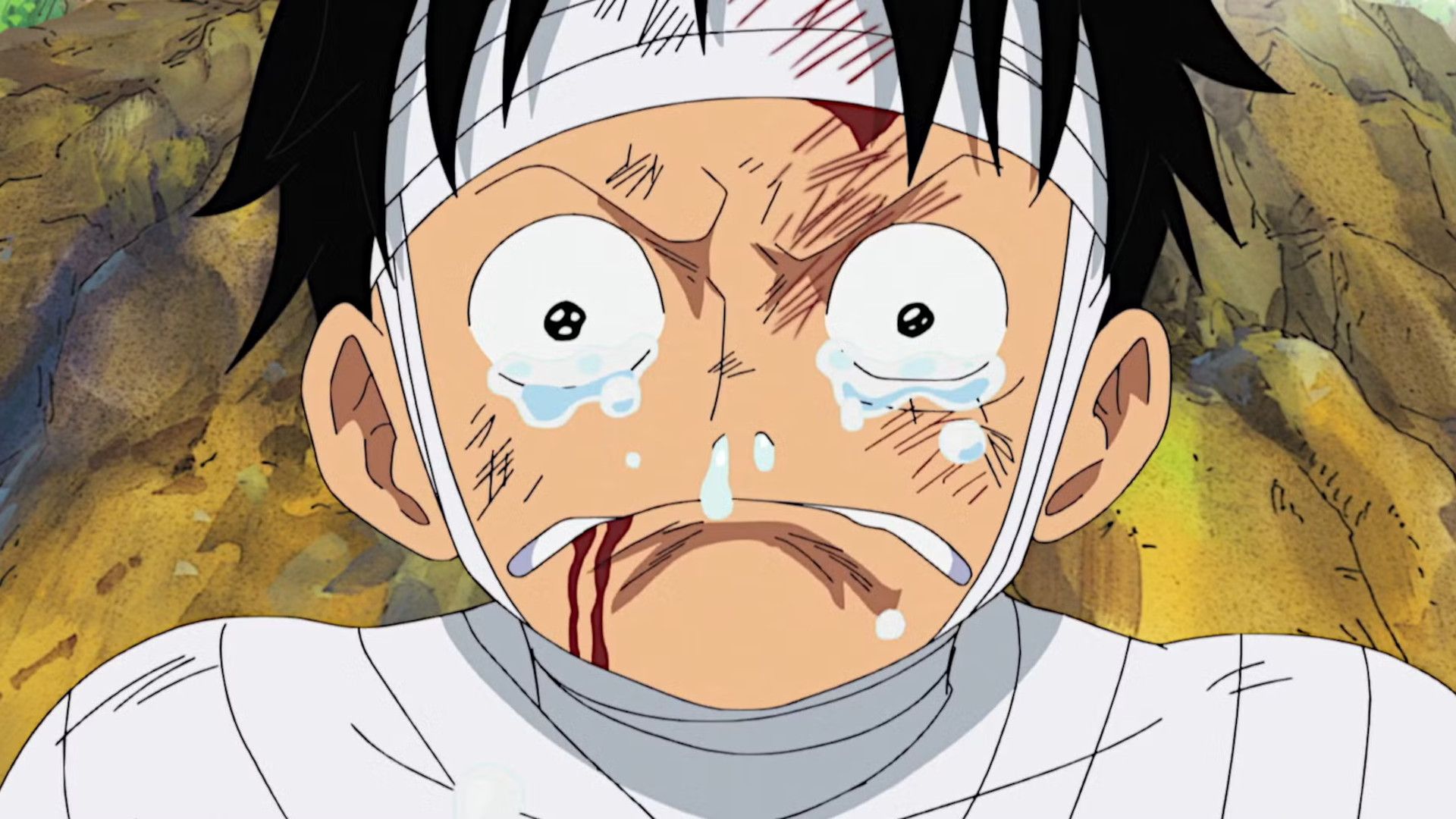 Ritardo del capitolo 1166 del manga one piece spiegato Ritardo del capitolo 1166 del manga one piece spiegato