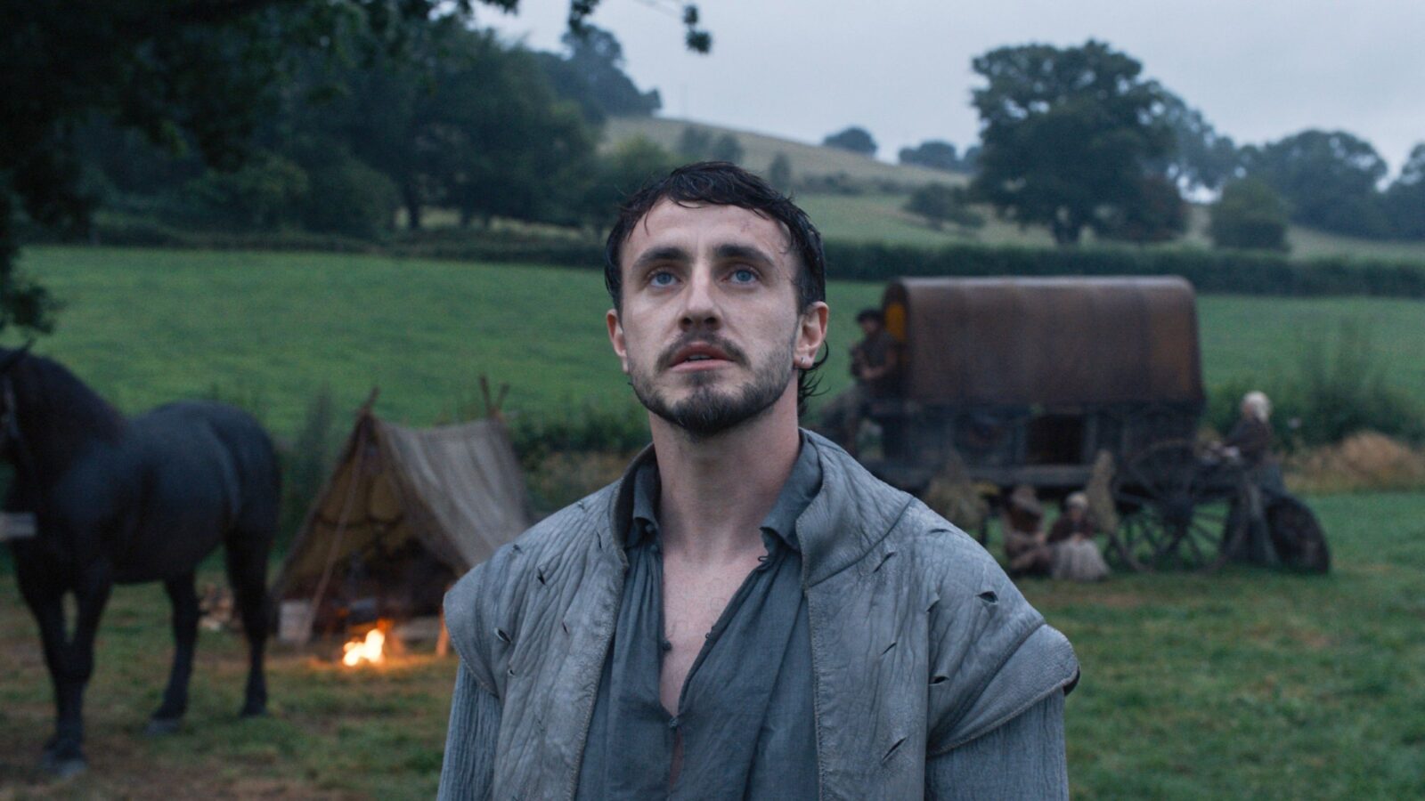 Hamnet il dettaglio più fastidioso ma più importante del romanzo Hamnet il dettaglio più fastidioso ma più importante del romanzo