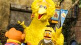 Sesame street rivisitata su netflix dopo 56 anni su pbs