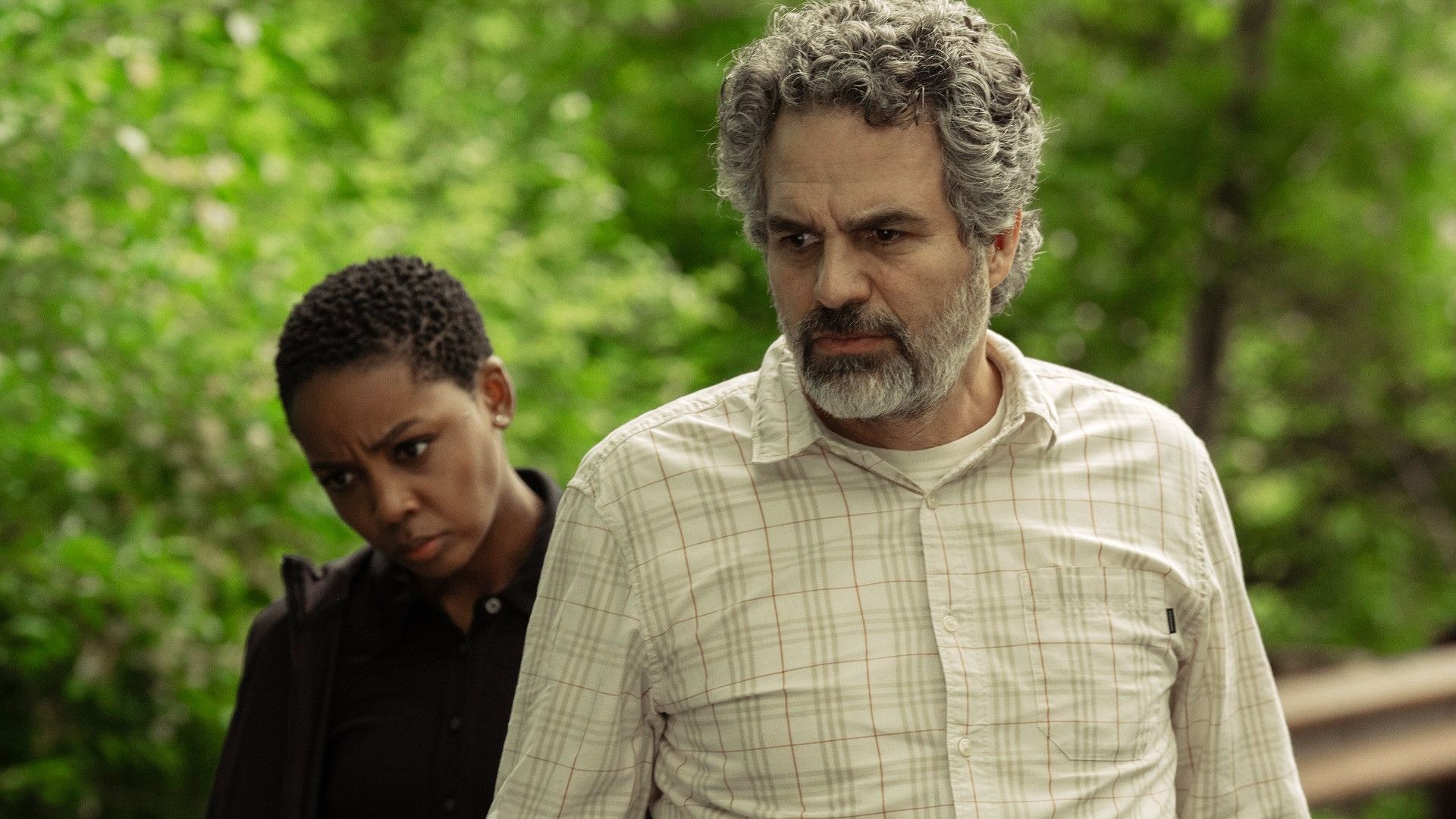 Rinnovamento della stagione 2 di task rende improbabile il ritorno di mare of easttown