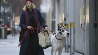 L’amico fedele di Naomi Watts il film che emoziona e coinvolge