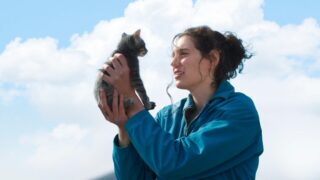 2026 Oscars nomination trailer train dreams e sorry baby perché meritano una nomination come miglior film