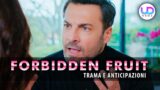 Forbidden fruit anticipazioni turche kaya decide di cambiare vita