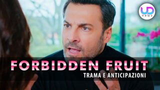 Forbidden fruit anticipazioni turche kaya decide di cambiare vita