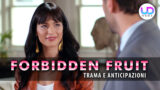 Forbidden Fruit Anticipazioni turche Zehra lascia Caner e diventa scrittrice
