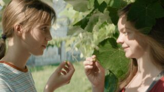 Recensione little trouble girls: il dramma queer adolescente che ricorda call me by your name e whiplash