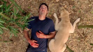 Lost finale segreto scoperto dopo tre mesi senza molta attenzione