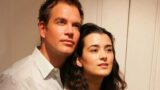 Ncis ritorno inatteso salva spin-off rischioso