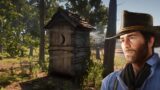 Come entrare nel casotto segreto della ragazza Braithwaite in red dead redemption 2