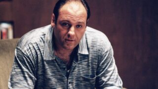 Che cosa collega l inizio di the sopranos e analyze this