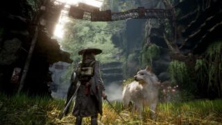 Bestia della reincarnazione data di uscita, gameplay e storia