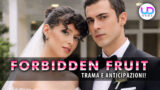 Forbidden fruit 3 anticipazioni turche un matrimonio lampo