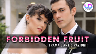 Forbidden fruit 3 anticipazioni turche un matrimonio lampo